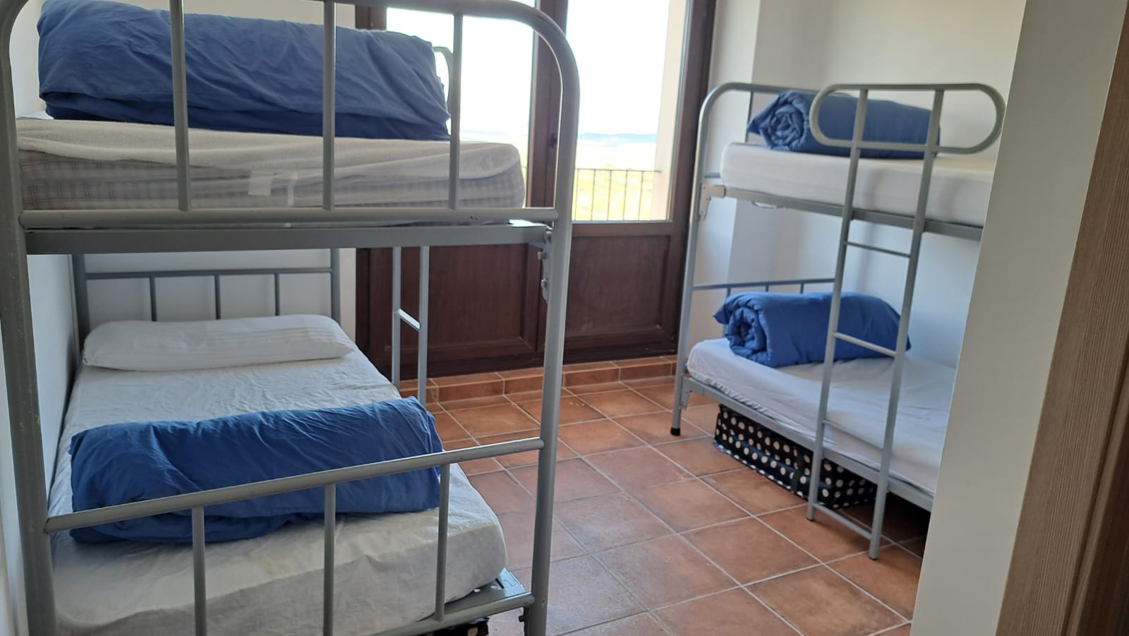 WhatsApp Image 2023-01-27 at 15.43.26